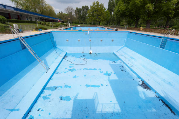 Best Local water damage restoration  in Spring Hill, TN