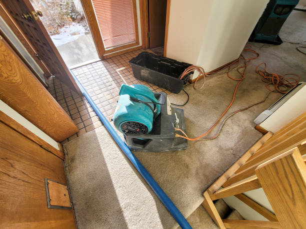 Best Water damage contractors near me  in Spring Hill, TN