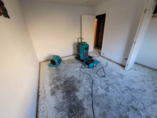 Best 24/7 water damage repair  in Spring Hill, TN
