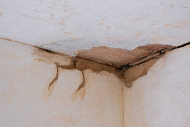 Best Fire Damage Restoration  in Spring Hill, TN