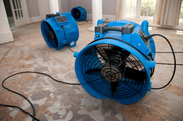 Best Water damage restoration near me  in Spring Hill, TN