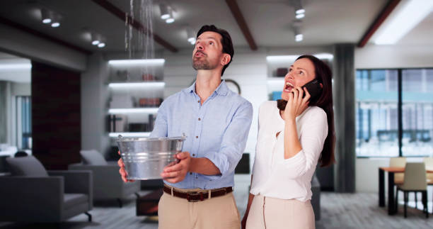 Best Flood restoration services  in Spring Hill, TN
