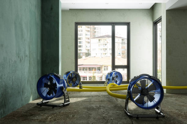 Best Fire Damage Restoration  in Spring Hill, TN
